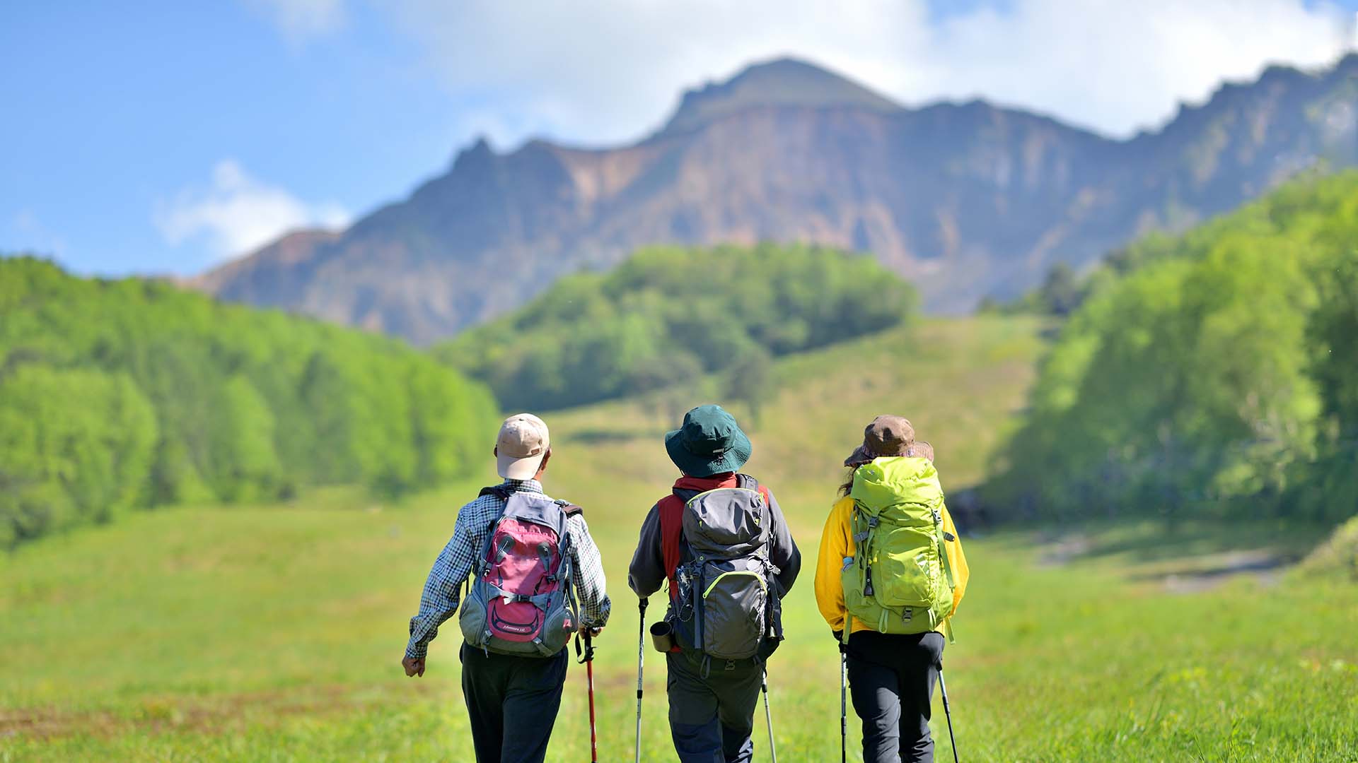 初夏の登山の様子