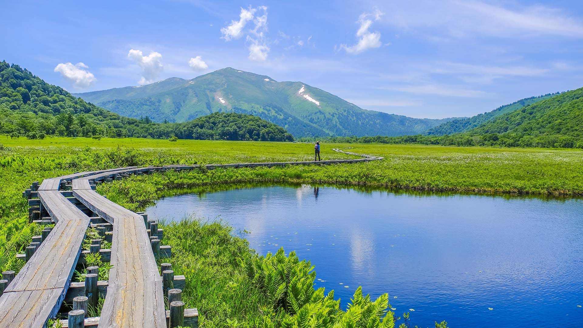 尾瀬ヶ原の燧ヶ岳